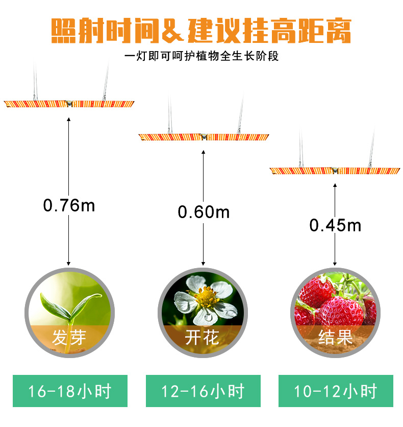 LED植物生长灯
